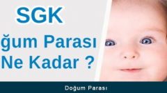 Doğum Parası Nedir? Nasıl Alınır?