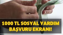 e-Devlet 1000 TL Sosyal Yardım Başvurusu Nasıl Yapılır?